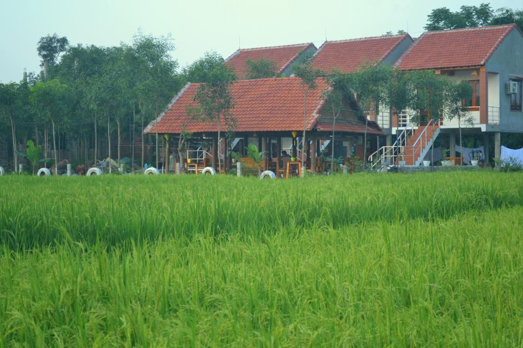 Jungle Boss Travel Lodge Phong Nha Exterior photo