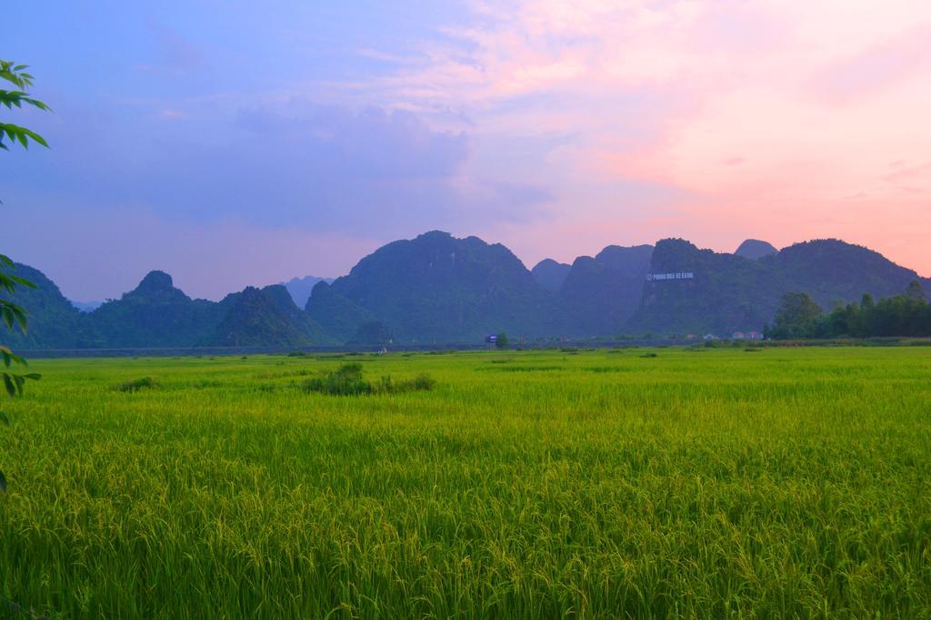 Jungle Boss Travel Lodge Phong Nha Exterior photo